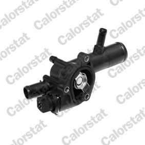 Comprar Termostato, refrigerante de CALORSTAT by Vernet TH6666.89J a bajo precio de 38,19 €