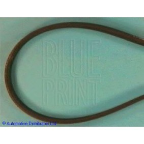 Achetez des Courroie Poly-V BLUE PRINT ADT39611 à prix pour 13,87 €