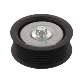 Compre Polia de desvio / de guia, correia trapezoidal estriada da SWAG 50 93 1142 a um preço baixo por 23,73 €
