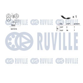 Achetez des Pompe à eau RUVILLE 65891 à prix pour 49,97 €