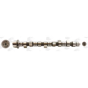 Acquista Albero a camme da AE CAM681 a buon mercato per soli 131,46 €