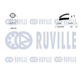 Achetez des Pompe à eau RUVILLE 67315 à prix pour 72,87 €