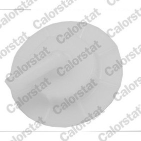 Achetez des Thermostat d'eau CALORSTAT by Vernet TH1419.77J à prix pour 12,78 €