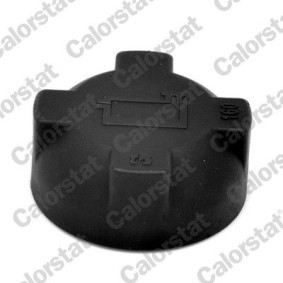 Achetez des Thermostat d'eau CALORSTAT by Vernet TH1400.87J à prix pour 51,57 €
