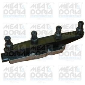 Achetez des Bobine d'allumage MEAT & DORIA 10333 à prix pour 96,53 €