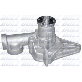 Wasserpumpe von DOLZ H200