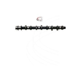 Acquista Albero a camme da CAMPRO CP17605 a buon mercato per soli 299,19 €