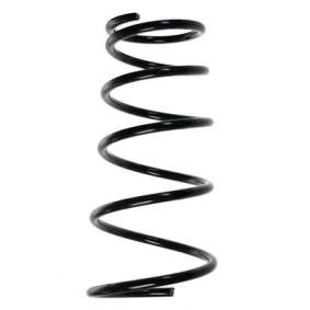 Fahrwerksfeder 49691 von SPIDAN günstig für 48,75 € online kaufen