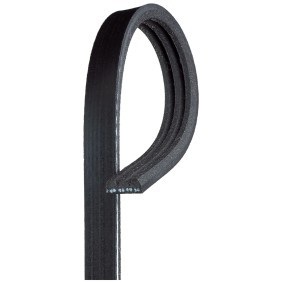 Acquista Cinghia servizi da GATES 3PK806-790SF a buon mercato per soli 8,27 €