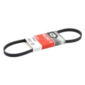 Compre Correia trapezoidal estriada da GATES 4PK803 a um preço baixo por 9,84 €