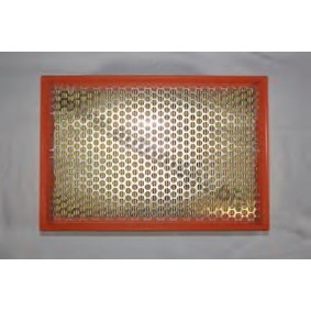 Luftfilter von AUTOMEGA 30101020785