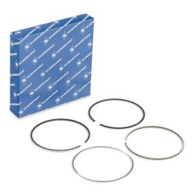 Acquista Kit fasce elastiche da KOLBENSCHMIDT 800058310000 a buon mercato per soli 29,68 €