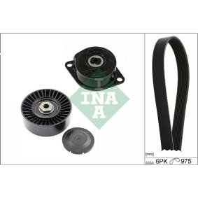 Acquista Kit Cinghie Poly-V da INA 529 0089 10 a buon mercato per soli 335,15 €