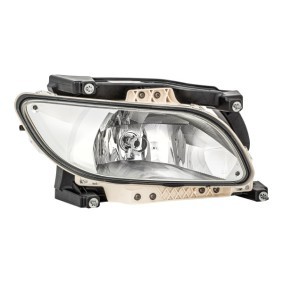 Nebelscheinwerfer 1ND 010 223-221 für DAF
