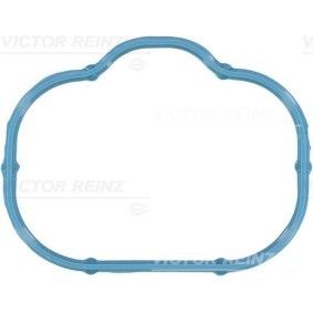 Ansaugkrümmerdichtung 71-10360-00 CHRYSLER 200 von REINZ