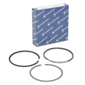Acquista Kit fasce elastiche da KOLBENSCHMIDT 800072710000 a buon mercato per soli 21,25 €