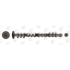 Acquista Albero a camme da AE CAM743 a buon mercato per soli 214,14 €