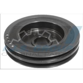 Achetez des Poulie damper (vilebrequin) IJS GROUP 17-1094 à prix pour 145,88 €