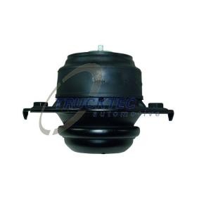 Acquista Supporto motore da TRUCKTEC AUTOMOTIVE 02.22.088 a buon mercato per soli 89,47 €
