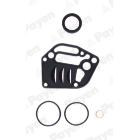 Acquista Kit guarnizioni, Monoblocco da PAYEN EY841 a buon mercato per soli 34,95 €