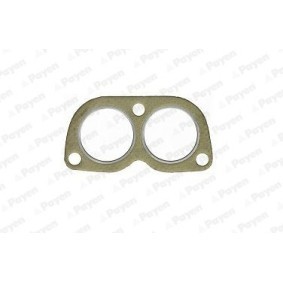 Acquista Guarnizione, Tubo gas scarico da PAYEN JE027 a buon mercato per soli 6,69 €