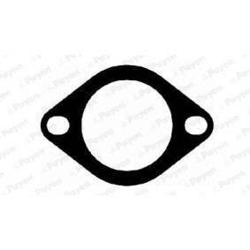 Acquista Guarnizione, Tubo gas scarico da PAYEN JE5012 a buon mercato per soli 11,73 €