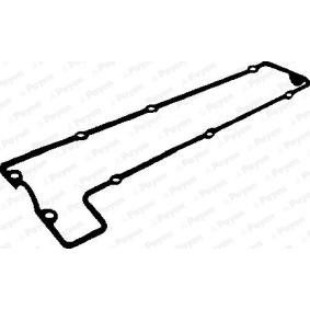 Comprar Junta, tapa de culata de cilindro de PAYEN JN621 a bajo precio de 26,74 €