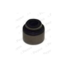 Acquista Paraolio valvole da PAYEN PA425 a buon mercato per soli 2,16 €