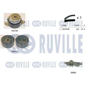 Acquista Braccio tenditore, Cinghia Poly-V da RUVILLE 57532 a buon mercato per soli 19,47 €