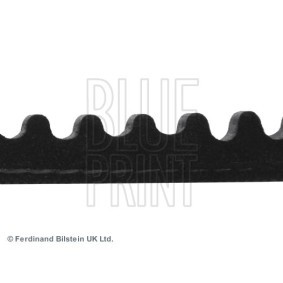 Achetez des Courroie trapézoïdale BLUE PRINT AD12V1030 à prix pour 11,89 €