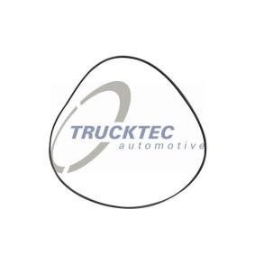 Dichtring, Kühlmittelrohrleitung 08.17.019 BMW von TRUCKTEC AUTOMOTIVE