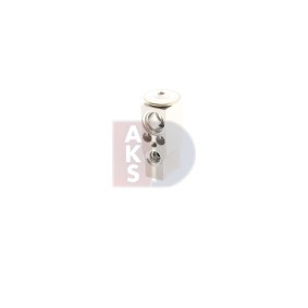 Achetez des Silencieux arrière AKS DASIS SG15658 à prix pour 169,77 €