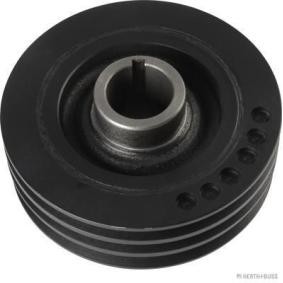 Achetez des Poulie damper (vilebrequin) HERTH+BUSS JAKOPARTS J1095011 à prix pour 163,30 €
