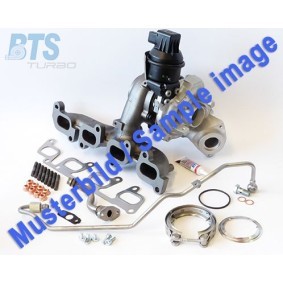 Compre Turbocompressor da BTS TURBO T981202BL a um preço baixo por 1374,16 €
