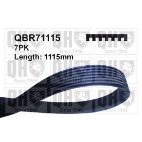 Compre Correia trapezoidal estriada da QUINTON HAZELL QBR71115 a um preço baixo por 16,62 €