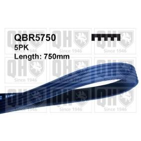 Compre Correia trapezoidal estriada da QUINTON HAZELL QBR5750 a um preço baixo por 11,66 €