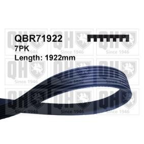 Compre Correia trapezoidal estriada da QUINTON HAZELL QBR71922 a um preço baixo por 33,02 €