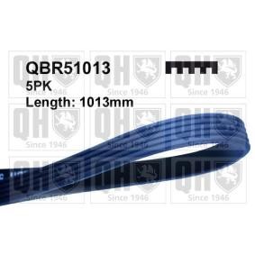 Compre Correia trapezoidal estriada da QUINTON HAZELL QBR51013 a um preço baixo por 16,19 €