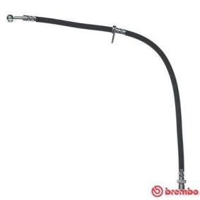 Comprar Latiguillo de freno de BREMBO T 28 101 a bajo precio de 21,97 €