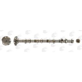 Acquista Albero a camme da AE CAM956 a buon mercato per soli 148,17 €