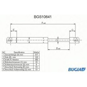 Heckklappendämpfer für FORD von BUGIAD
