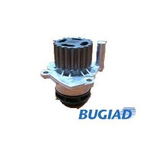 Compre Bomba de água da BUGIAD BSP20038 a um preço baixo por 40,64 €
