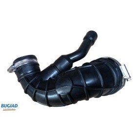 Compre Filtro de ar da BUGIAD BSP20648 a um preço baixo por 7,96 €