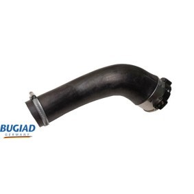 Comprar Filtro combustible de BUGIAD BSP20966 a bajo precio de 29,08 €