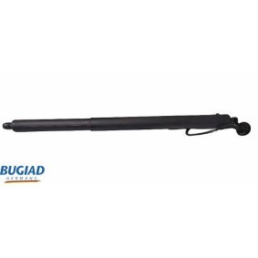 Bremsschlauch von BUGIAD günstig für 9,69 €