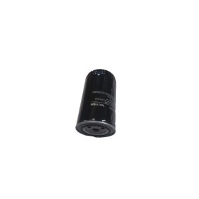 Compre Filtro de óleo da BUGIAD BSP21552 a um preço baixo por 13,34 €