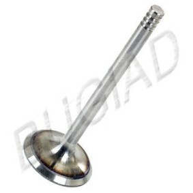 Comprar Válvula de admisión de BUGIAD BSP21696 a bajo precio de 15,43 €