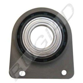 Comprar Soporte de cardán de BUGIAD BSP22929 a bajo precio de 23,84 €
