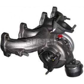 Comprar Turbocompresor de BUGIAD BSP23195 a bajo precio de 1284,57 €