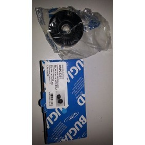 Comprar Polea tensora, correa poli V de BUGIAD BSP23381 a bajo precio de 40,05 €